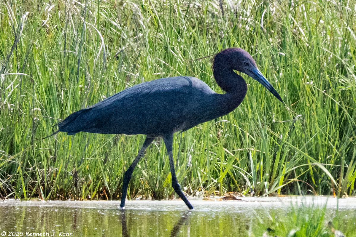 lbhe-07.jpg